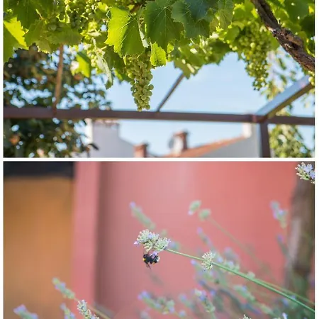 Apartament Elio Pula